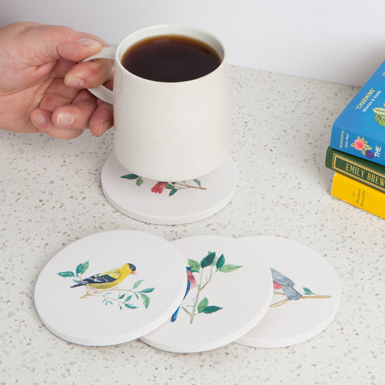 Now Designs Birdsong Soak Up Coaster Set Of 4