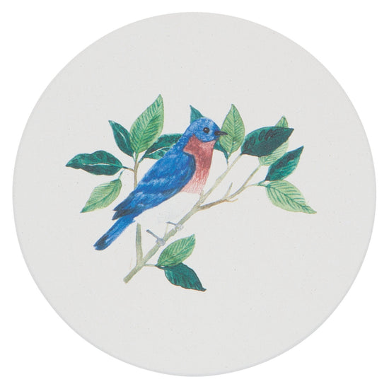 Now Designs Birdsong Soak Up Coaster Set Of 4