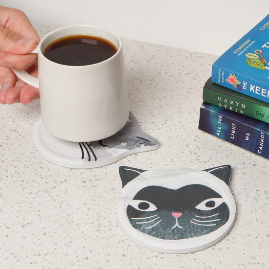 Now Designs Cats Meow Soak Up Coaster Set Of 4