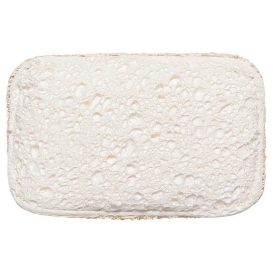 Now Designs Dish Sponges Set Of 2