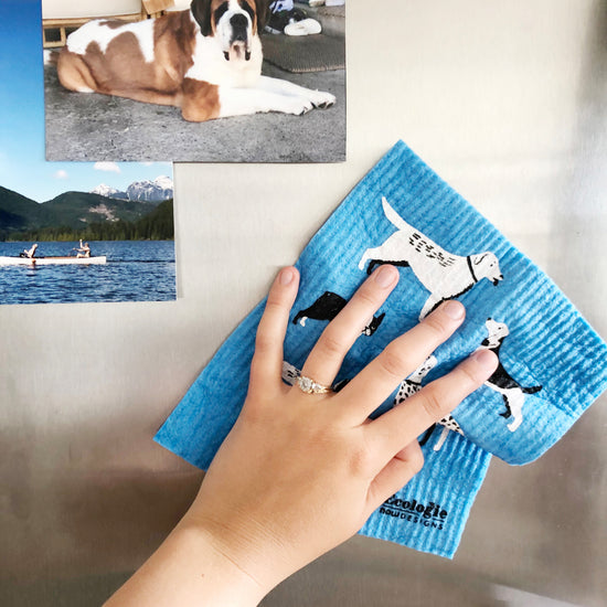 Now Designs Dog Days Swedish Sponge Cloth