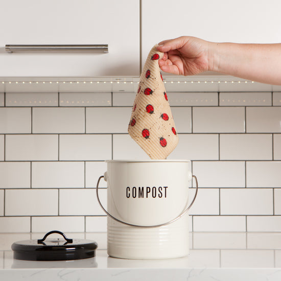 Now Designs Fly Away Ladybug Swedish Sponge Cloth