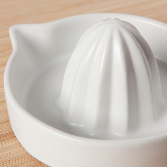 Now Designs Juicer Matte White