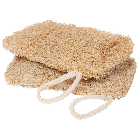 now designs Loofah Dish Sponges Set of 2