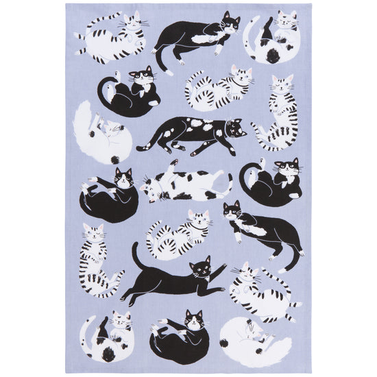 Now Designs Meow & Furever Dishtowels Set Of 2