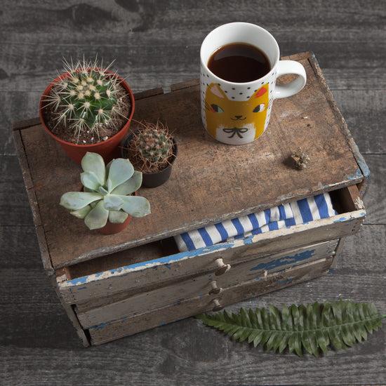 Now Designs Meow Meow Cats Tall Mug