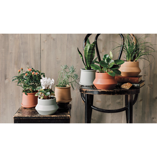 Now Designs Mesa Pot Plant Mectar Eet