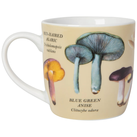 Now Designs Mushrooms 12 Oz Mug