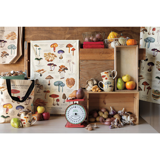 Now Designs Mushrooms Fine Print Dishtowel