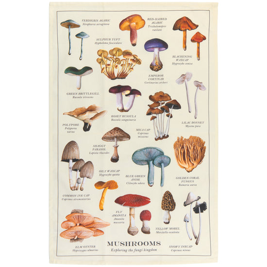 now designs Mushrooms Fine Print Dishtowel