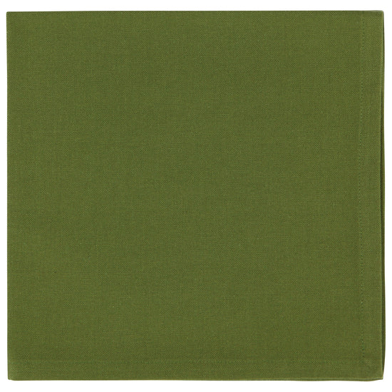 Now Designs Spectrum Napkin Fir Green Set Of 4