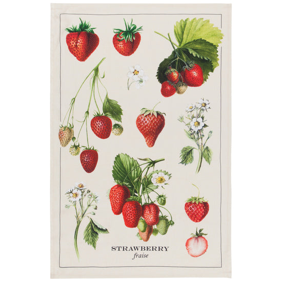 now designs Vintage Strawberries Printed Dishtowel