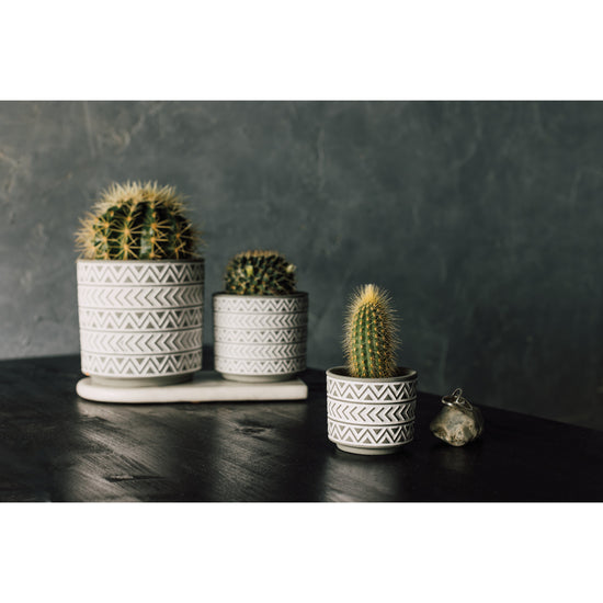 Now Designs White Gray Spark Pot Plant Wed Pet