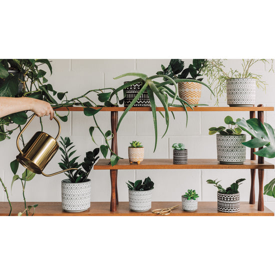 Now Designs White Gray Spark Pot Plant Wed Pet