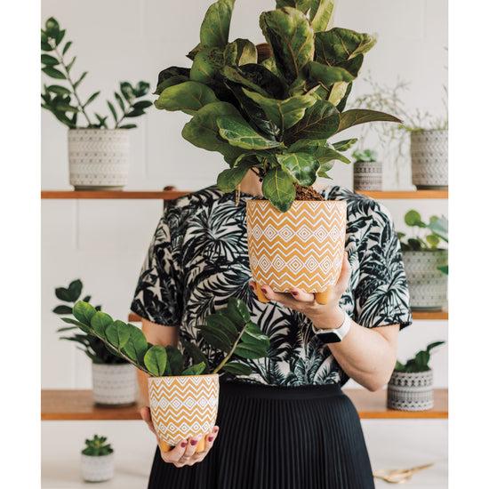 Now Designs Wht SparkSaffron Pot Plant Wrg Pet