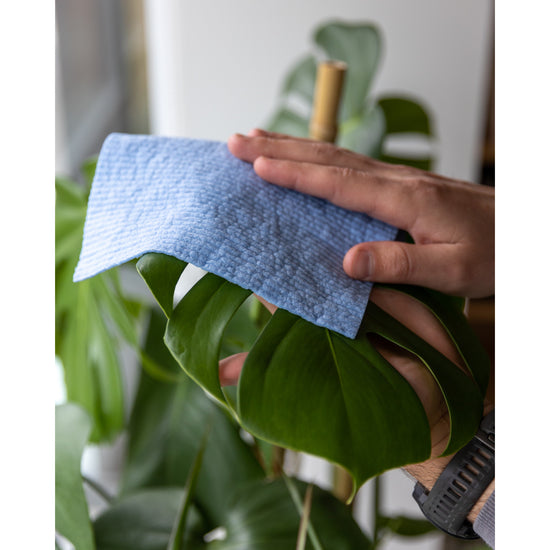 Now Designs Rust And Sky Blue Sponge Cloth Set Of 2