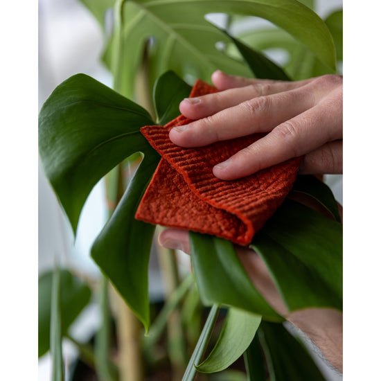 Now Designs Rust And Sky Blue Sponge Cloth Set Of 2