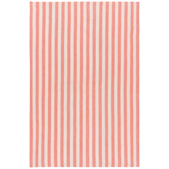 Now Designs Watermelon Coordinated Dishtowels Set Of 2