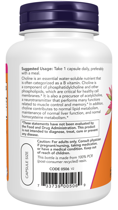 Now Foods Choline 300 Mg Veg Capsules