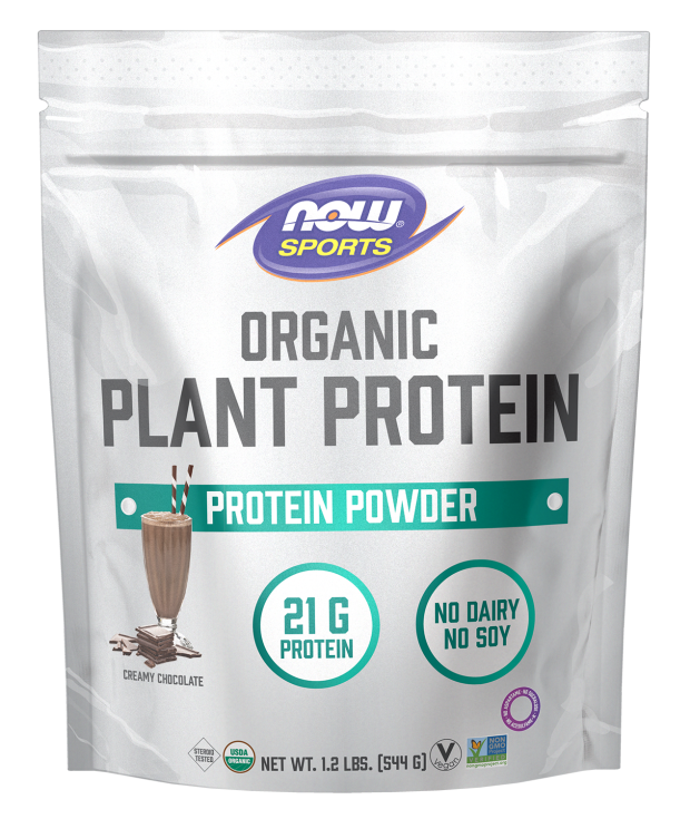 now foods Plant Protein Organic Creamy Chocolate Powder