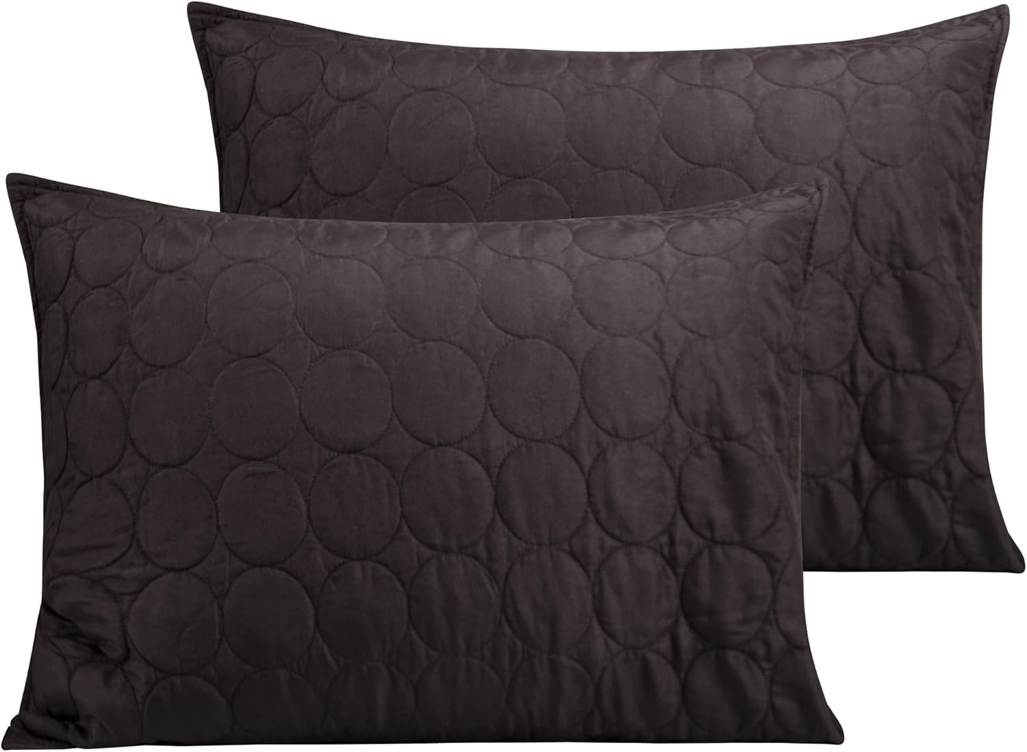 ntbay NTBAY 2 Pack Standard (20x26 Inches) Quilted Microfiber Pillowcases