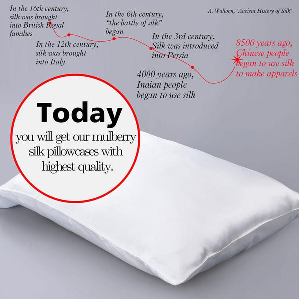 Ntbay NTBAY Mulberry Silk Pillowcase With Zippered Closure