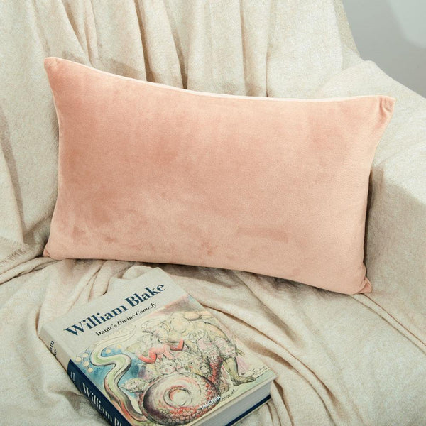 Ntbay NTBAY 2 Pack Cozy Velvet Throw Pillow Cover