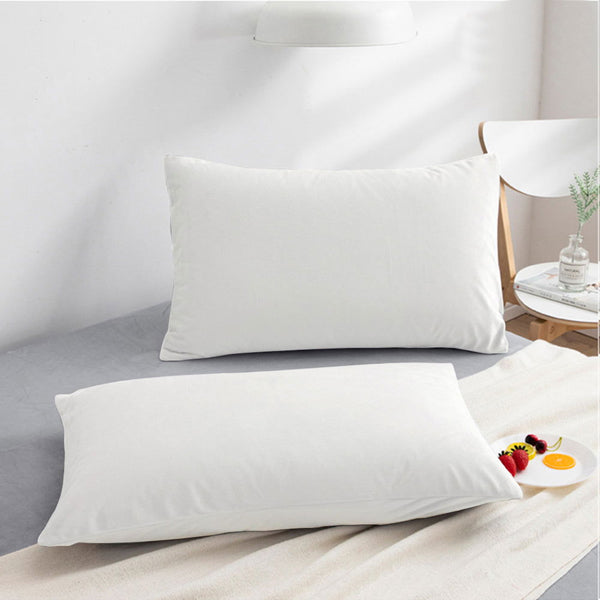 Ntbay NTBAY 2 Pack Zippered Velvet Pillowcases