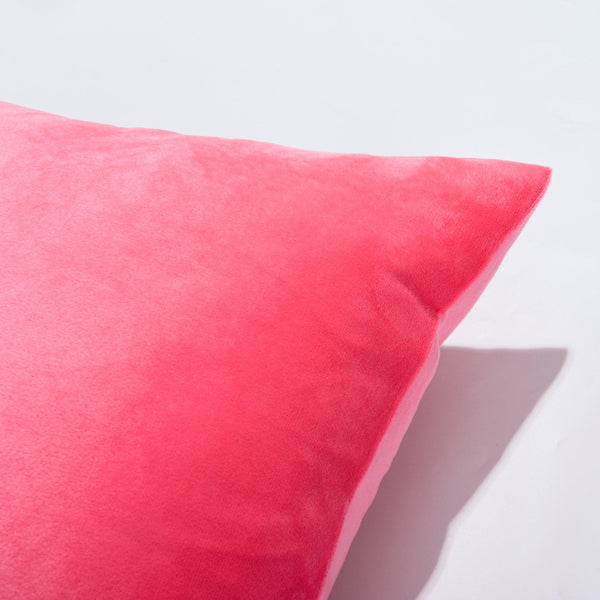 Ntbay NTBAY Cozy Velvet Pillow Cover