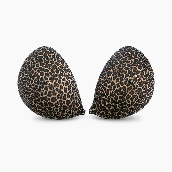 nubra Wild Leopard
