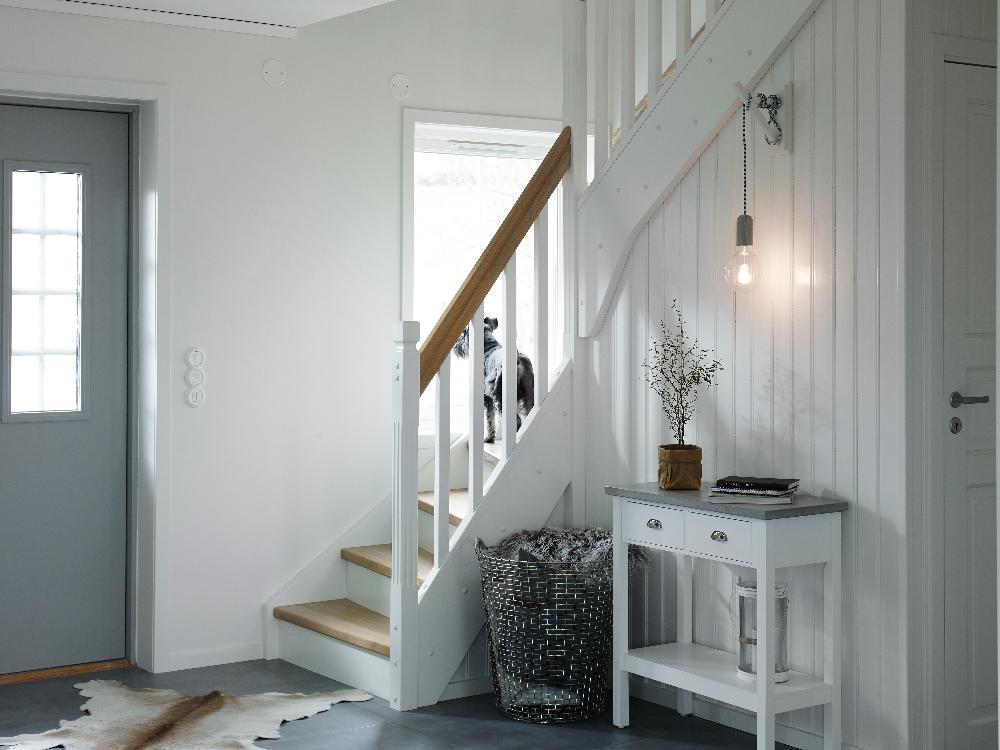 Nud Collection LED Spin E26