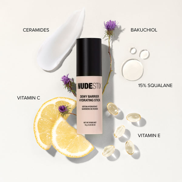 Nudestix 5 Minute Face: Nude Face Gloss