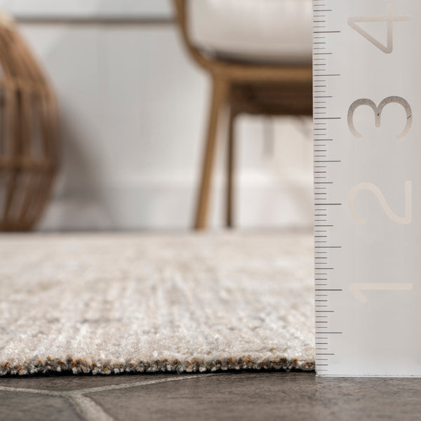 Nuloom Aine Bordered Machine Washable Indoor/Outdoor Area Rug Beige