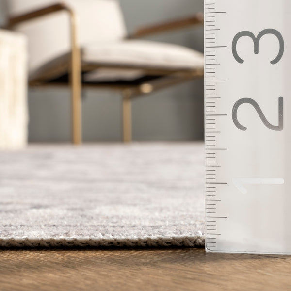 Nuloom Brielle Machine Washable Vintage Medallion Area Rug Gray