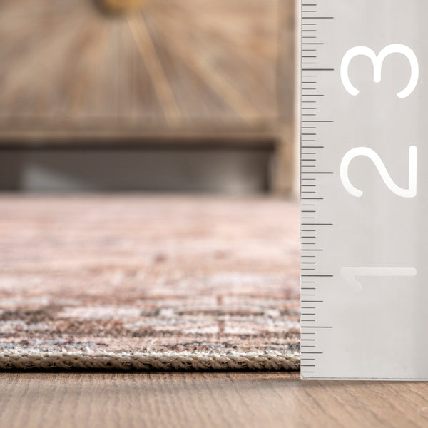 Nuloom Devin Machine Washable Vintage Medallion Area Rug Light Brown