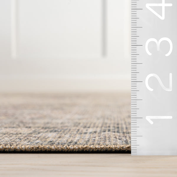 Nuloom Hillstone Collection Deidra Traditional Vintage Medallion Area Rug Brown