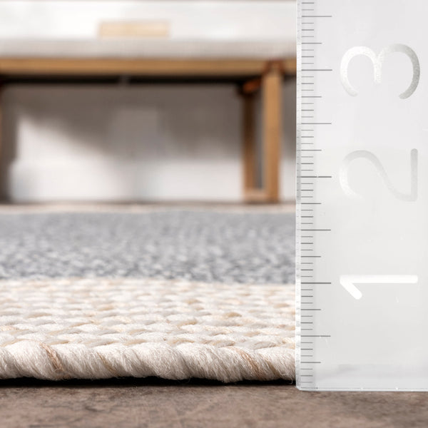 Nuloom Indoor/Outdoor Braided Solid Border Delaine Area Rug Grey