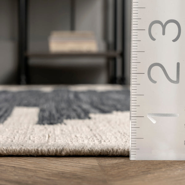 Nuloom Irina Hand Loomed Contemporary Cotton Area Rug Charcoal