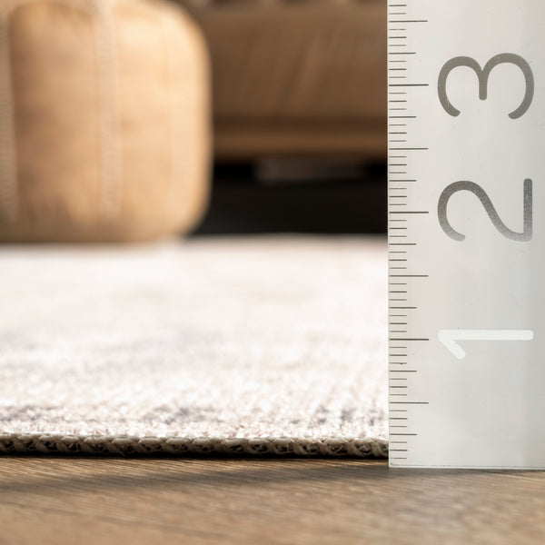 Nuloom Krystin Distressed Machine Washable Area Rug Beige