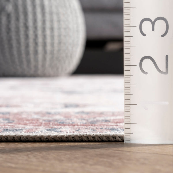 Nuloom Layna Machine Washable Distressed Vintage Area Rug Light Grey