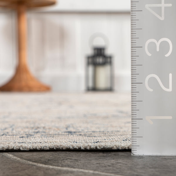 Nuloom Lolita Faded Machine Washable Indoor/Outdoor Area Rug Beige