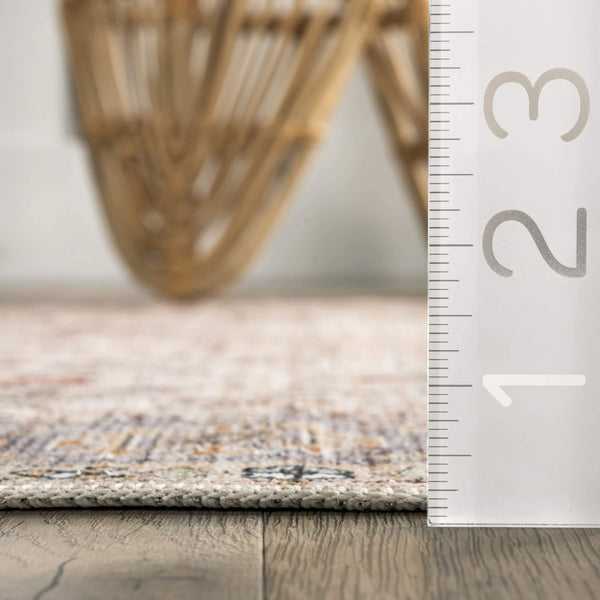 Nuloom Kimora Washable Vintage Area Rug Beige