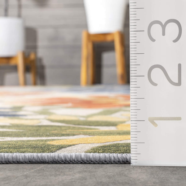 Nuloom Rosana Floral Machine Washable Indoor/Outdoor Area Rug Multi