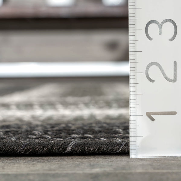 Nuloom Sammy Braided Ombre Indoor/Outdoor Area Rug Charcoal