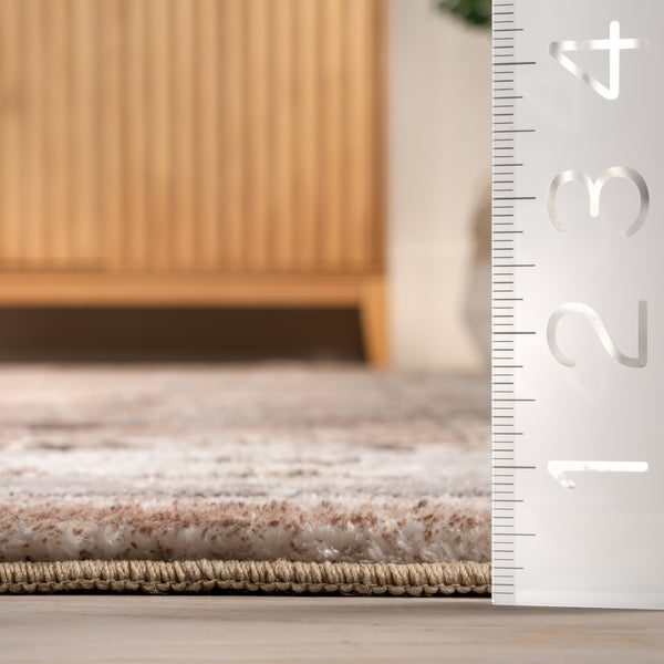 Nuloom Tansy Traditional Vintage Machine Washable Area Rug Beige