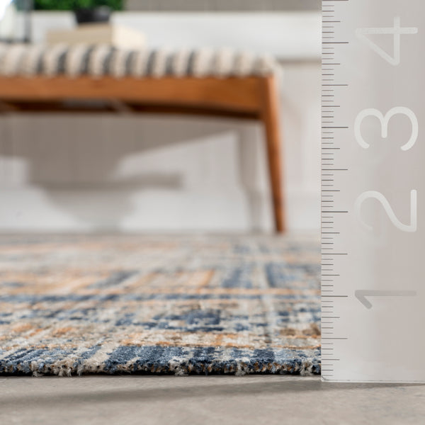 Nuloom Zazie Traditional Machine Washable Indoor/Outdoor Area Rug Blue