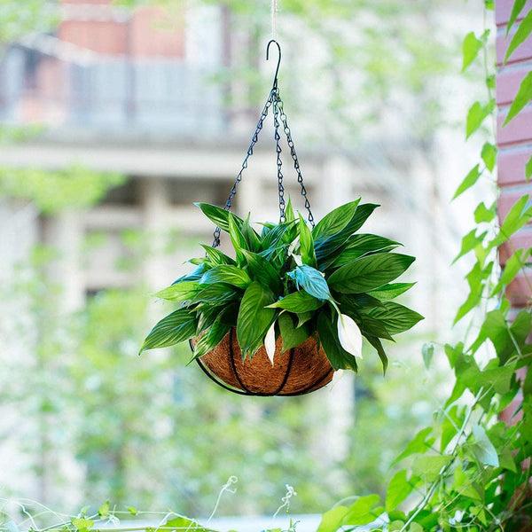 Nuptio 2Pcs/set Outdoor Hanging Pots For Plants With Hanging Basket Liner