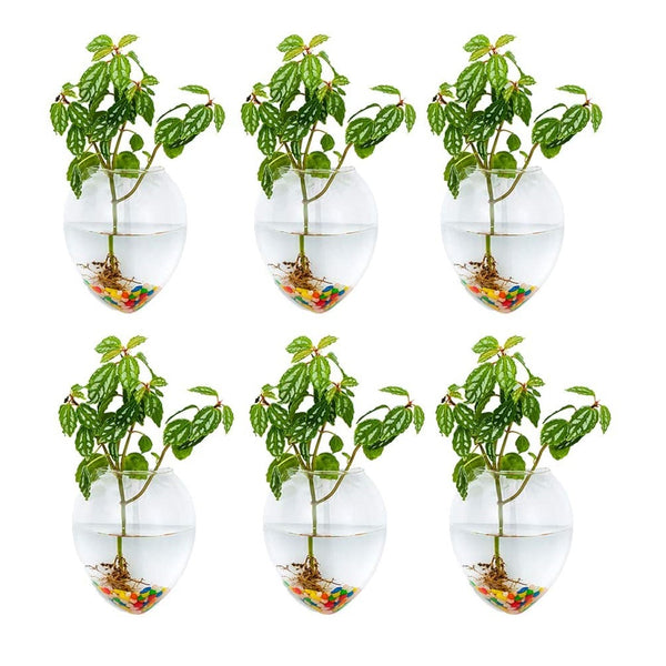 Nuptio 4Pcs/6Pcs Mouse Shape Plant Pots Terrarium Container Vase With Colorful Stones