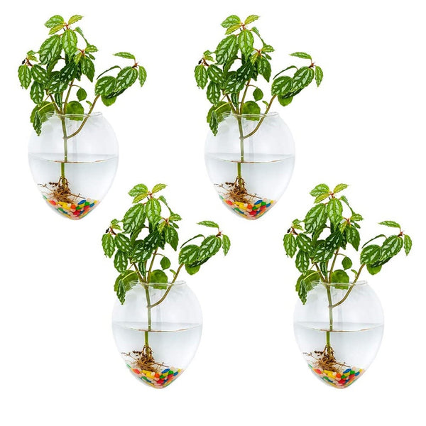nuptio 4Pcs/6Pcs Mouse Shape Plant Pots Terrarium Container Vase with Colorful Stones