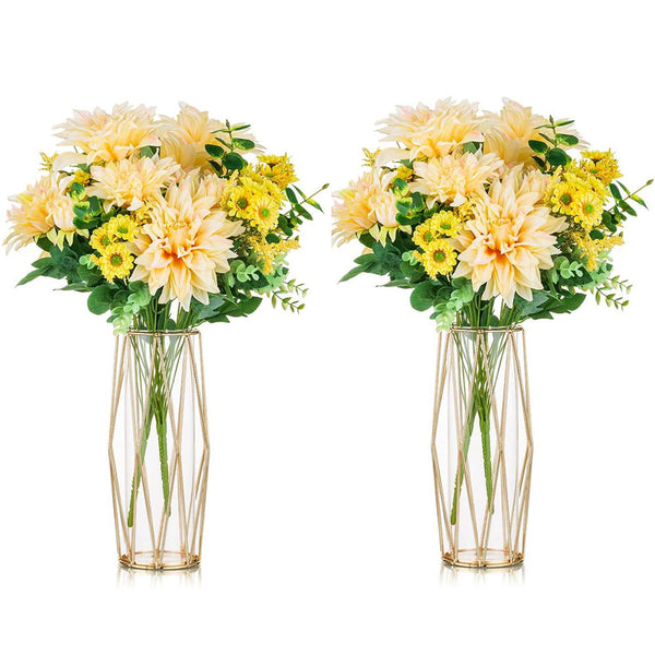 nuptio Geometric Clear Metal Flowers Vase Set of 2 Decorative Glass Vase with Metal Wire